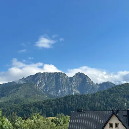 Szafran
