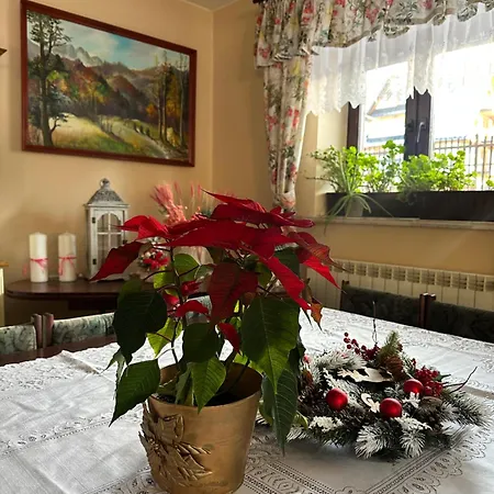 Guest house Szafran