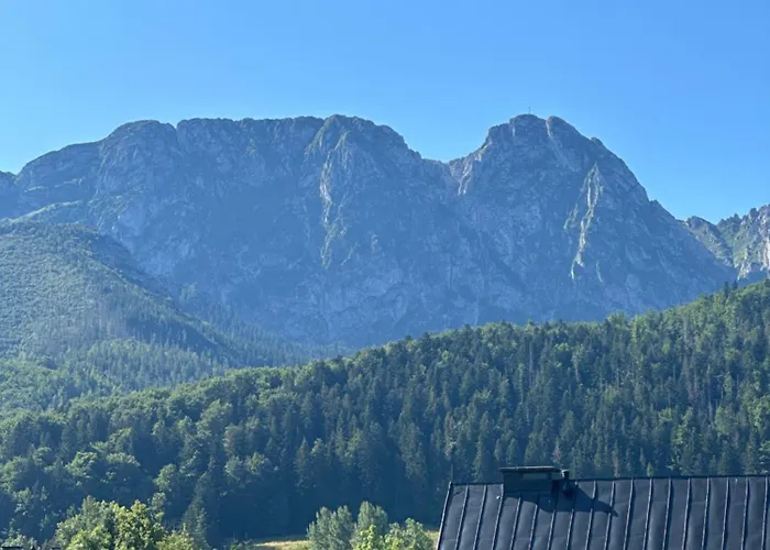 Szafran Πανσιόν Ζακοπάνε